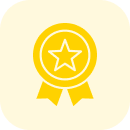 <p style="text-align: center;"><strong>افتخارات</strong></p>